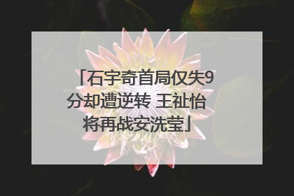 石宇奇首局仅失9分却遭逆转 王祉怡将再战安洗莹